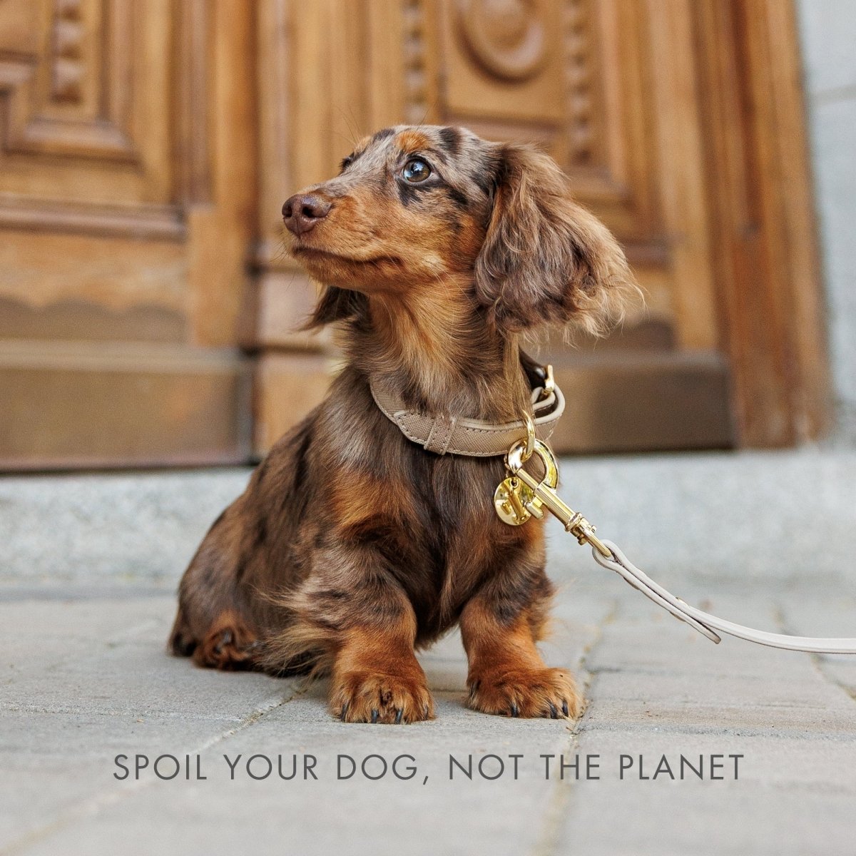 Nina Woof - Leash 4ft - Vegan Leather