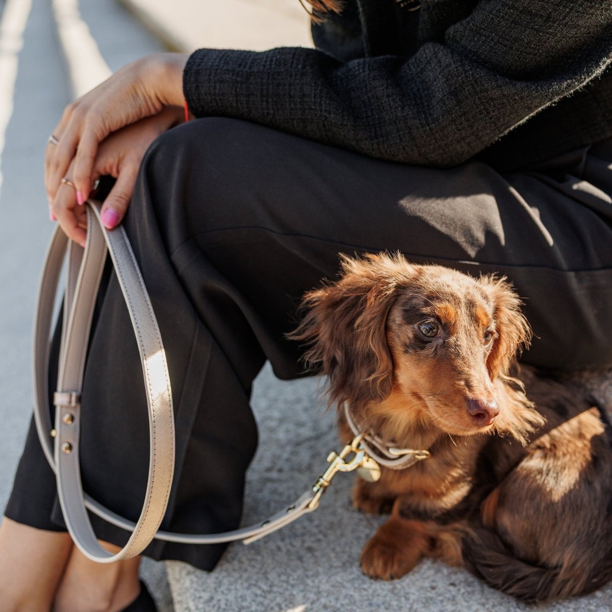 Nina Woof - Leash 4ft - Vegan Leather