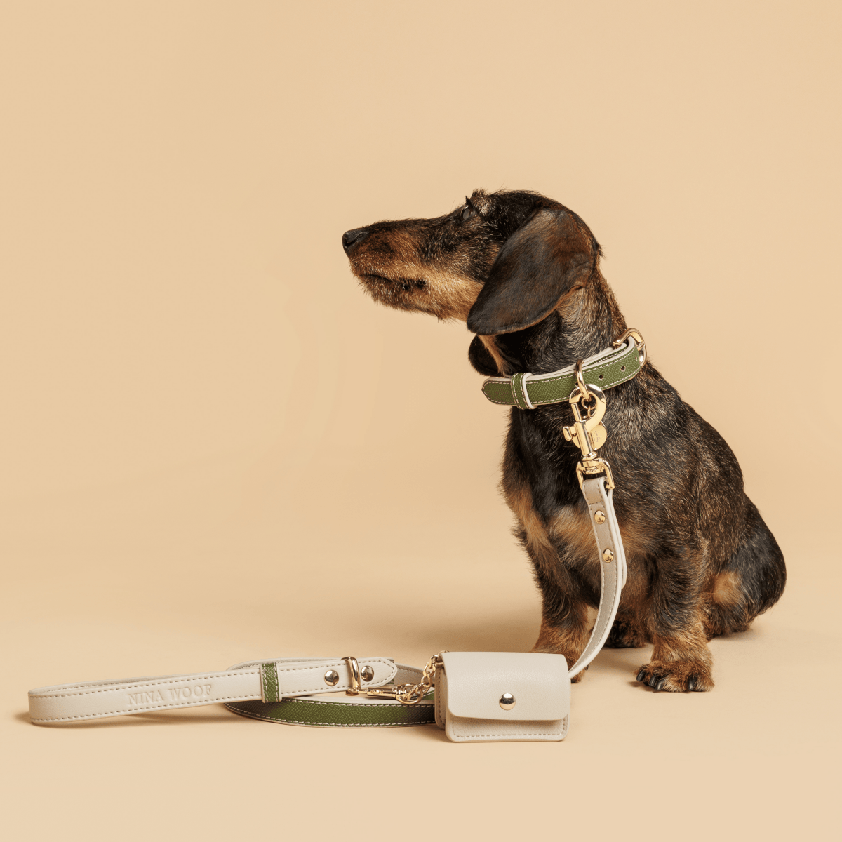 Nina Woof - Leash 4ft - Vegan Leather
