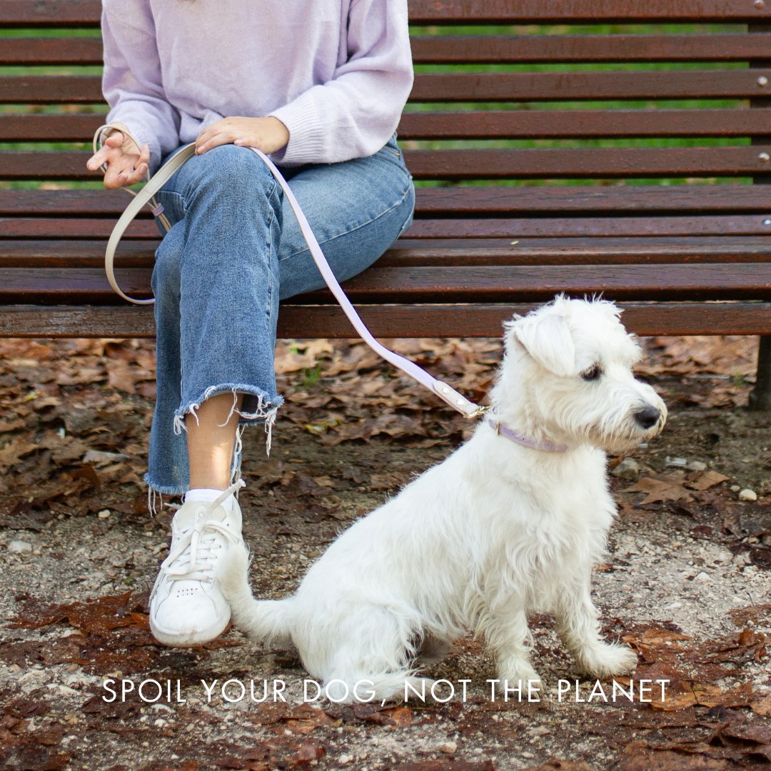 Nina Woof Collar - Vegan Leather - London