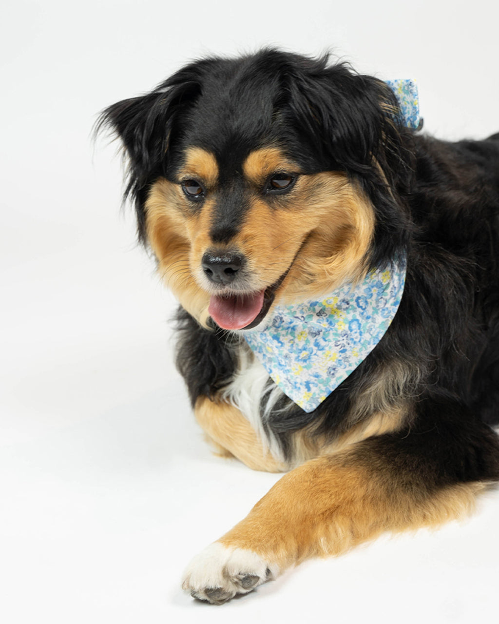 MODERNBEAST Floral Bandana