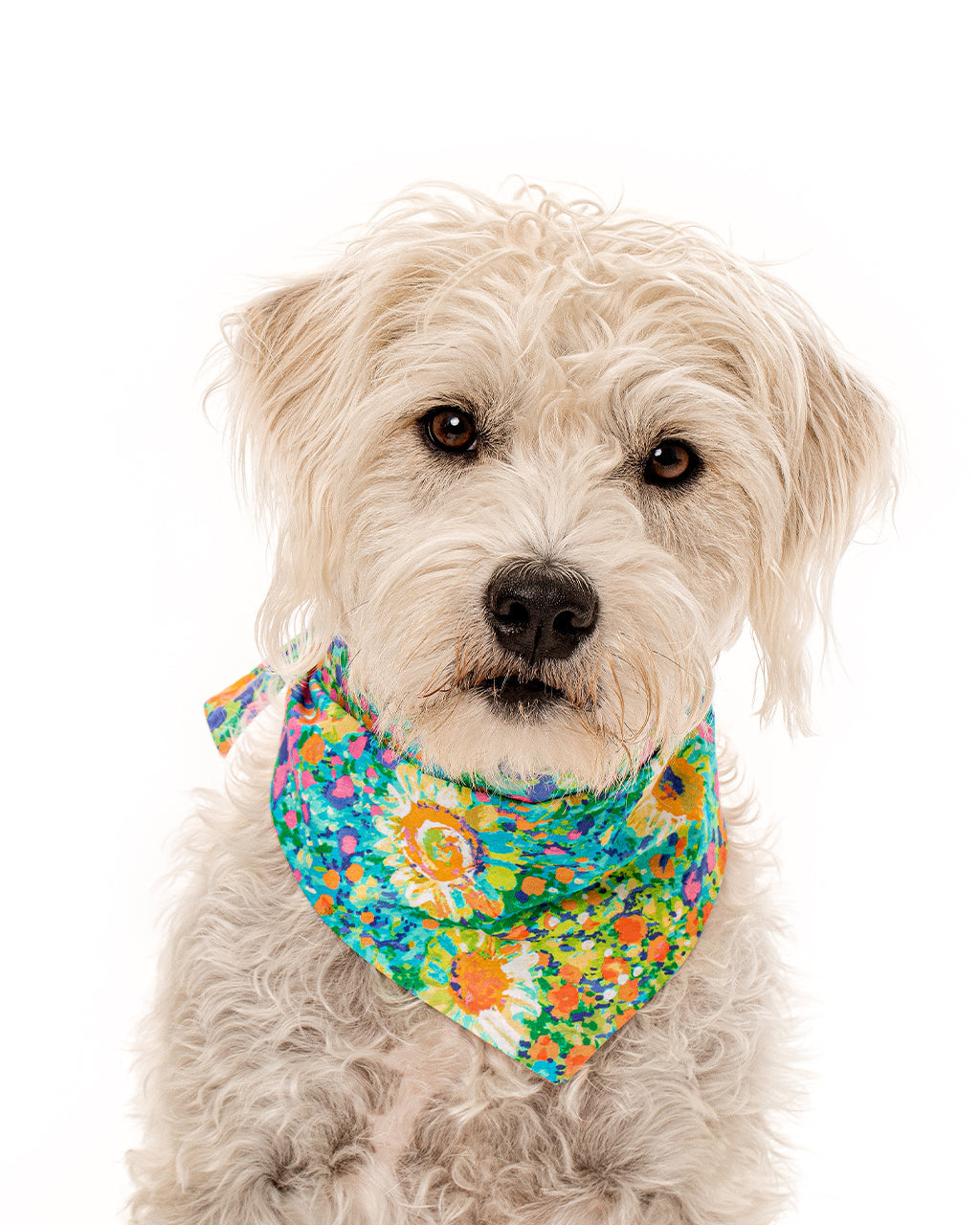 MODERNBEAST Floral Bandana