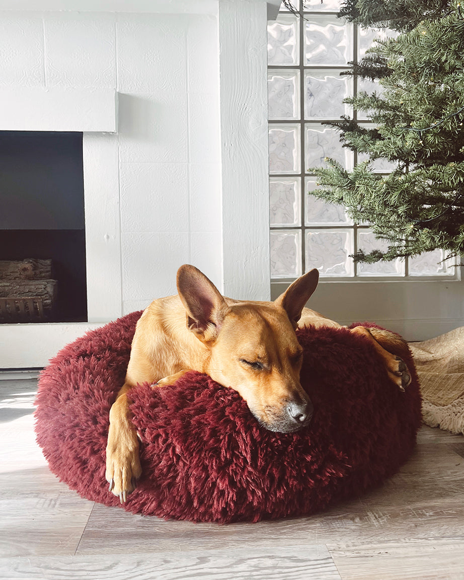 MODERNBEAST POD Dog Bed