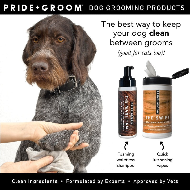 PRIDE+GROOM THE MANE TAME Waterless Dog & Cat Shampoo — No-Rinse Pet Grooming and Quick Cleaning