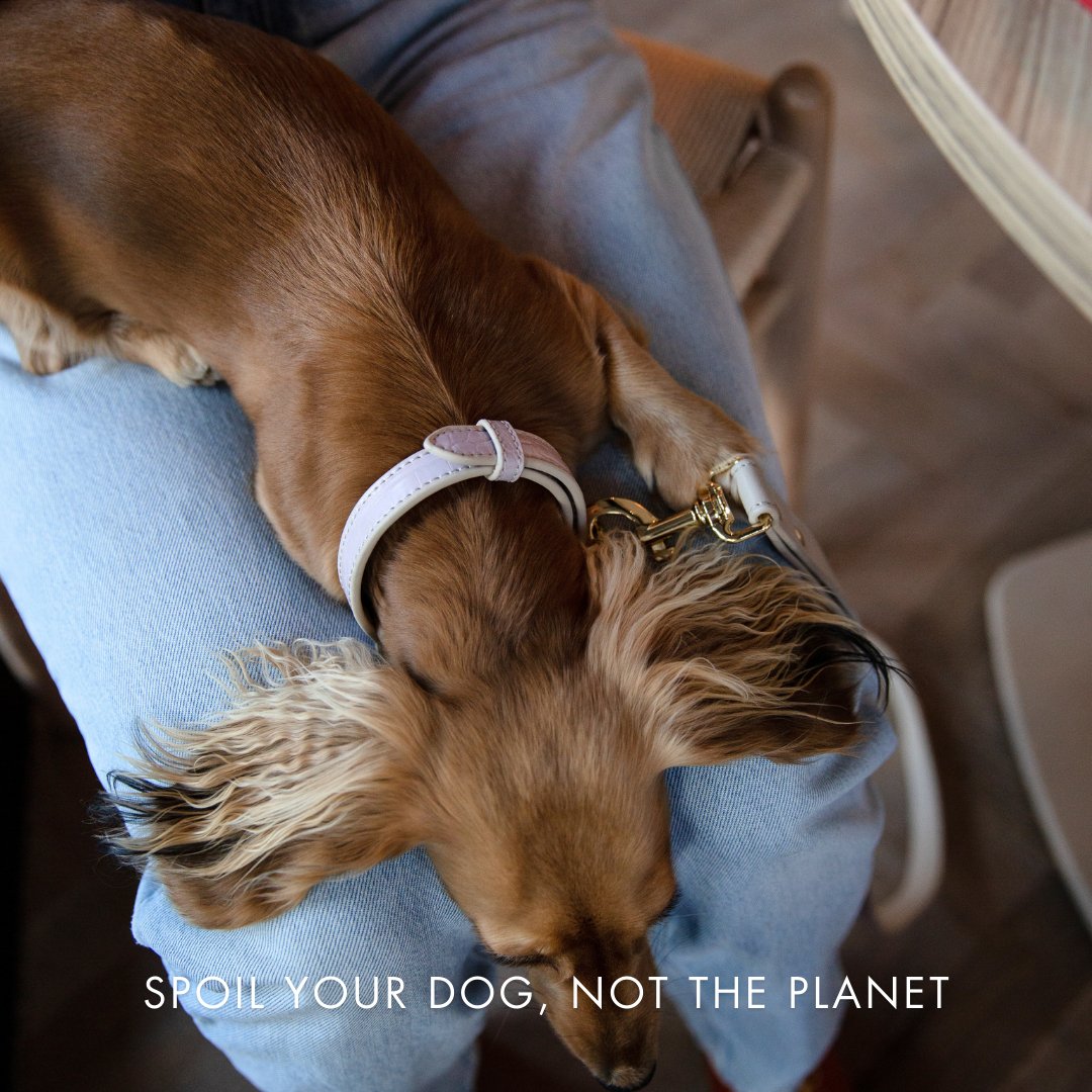 Nina Woof Collar - Vegan Leather - Milan