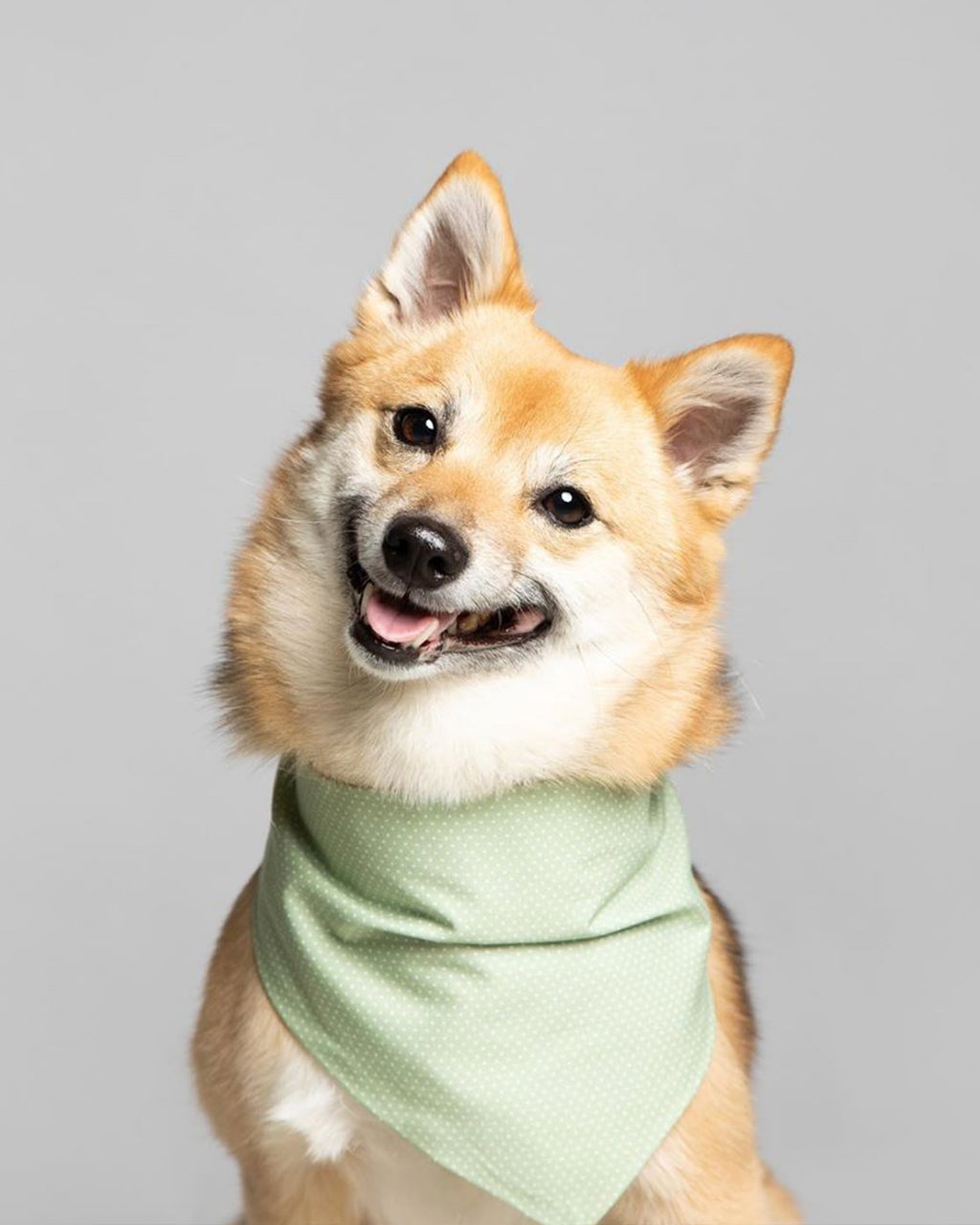 MODERNBEAST Party Bandana