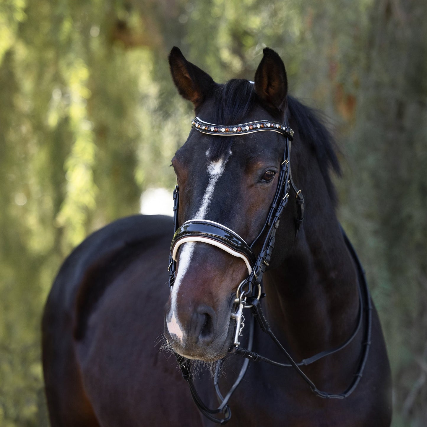 Halter Ego - The Taos Black Patent Double