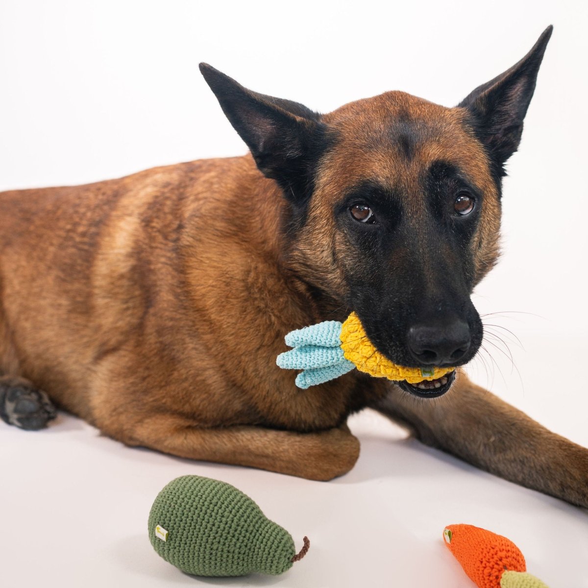 Nina Woof - Organic Veggie Toys Bundle