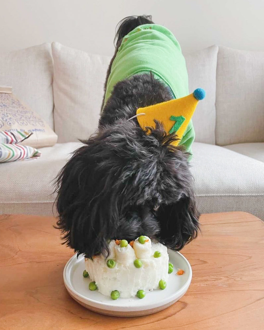 MODERNBEAST Pawty Hat - Green Number