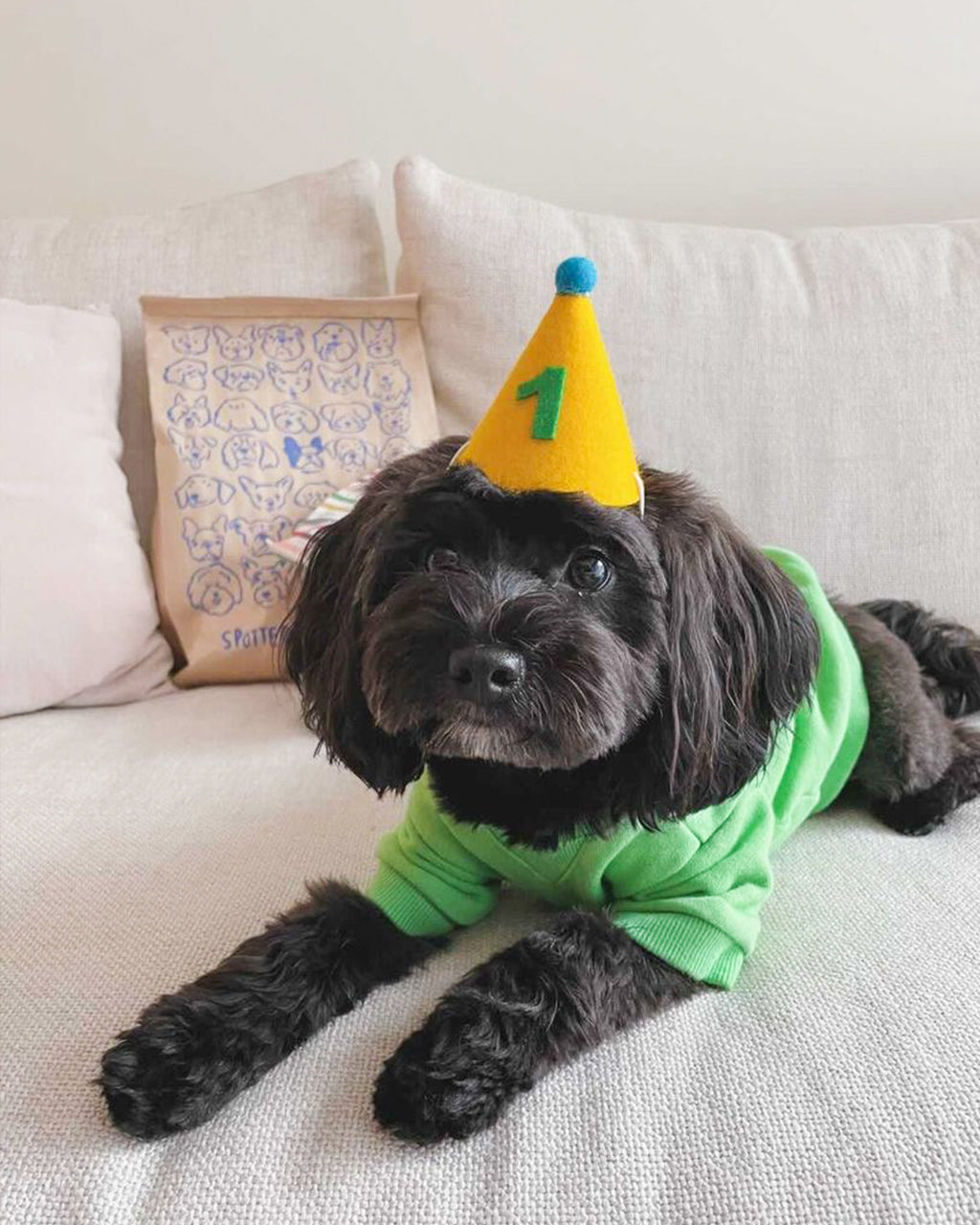 MODERNBEAST Pawty Hat - Green Number