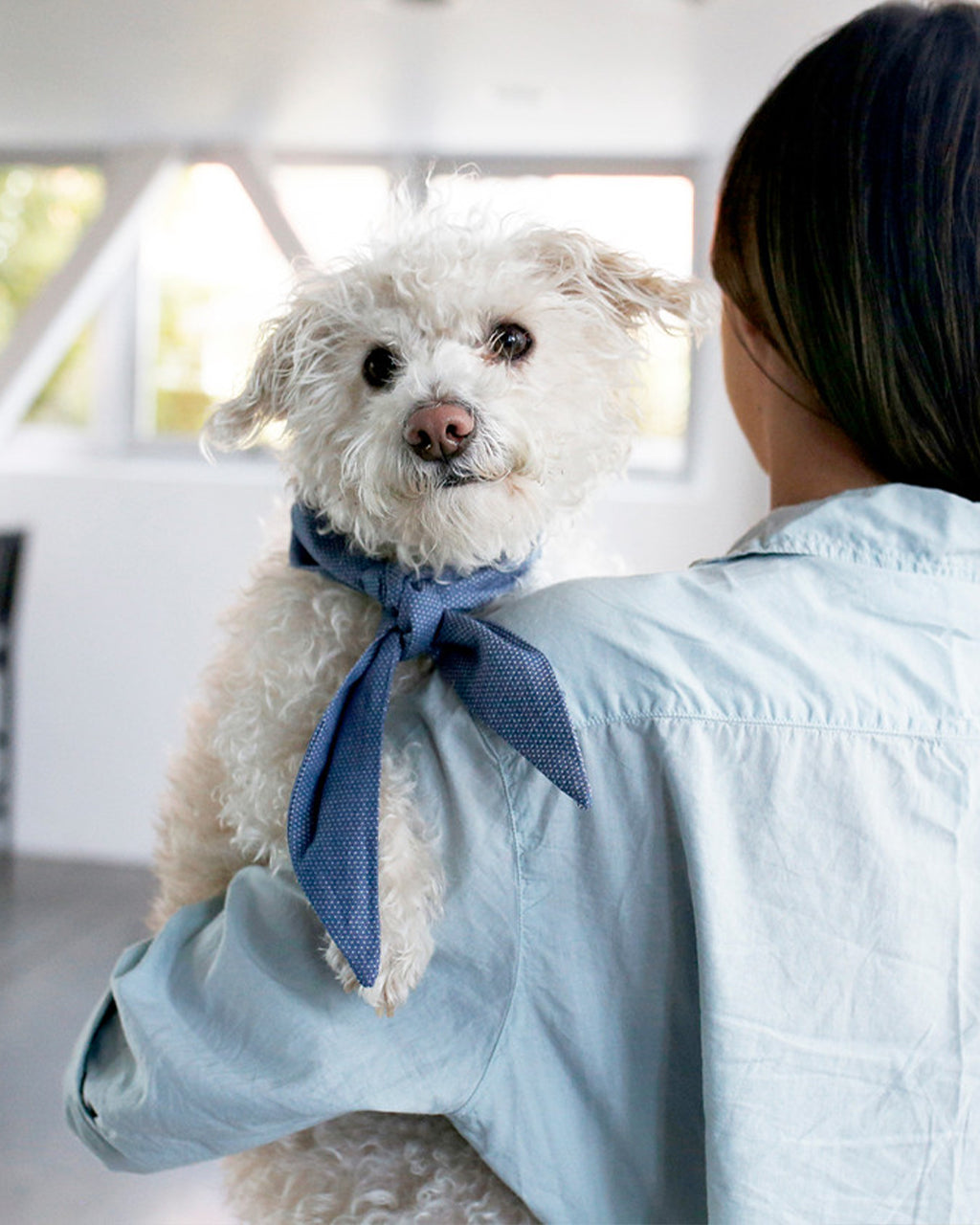 MODERNBEAST Classic Necktie