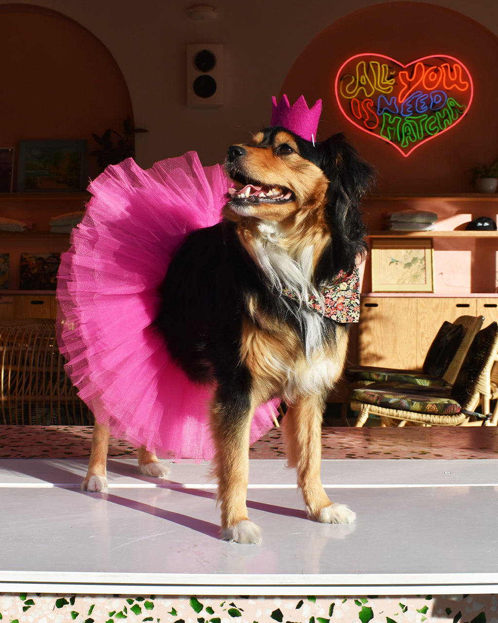 MODERNBEAST Bright Party Crowns
