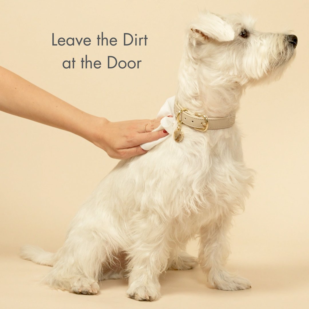 Nina Woof - Premium Wipes - Biodegradable and Plant-Based