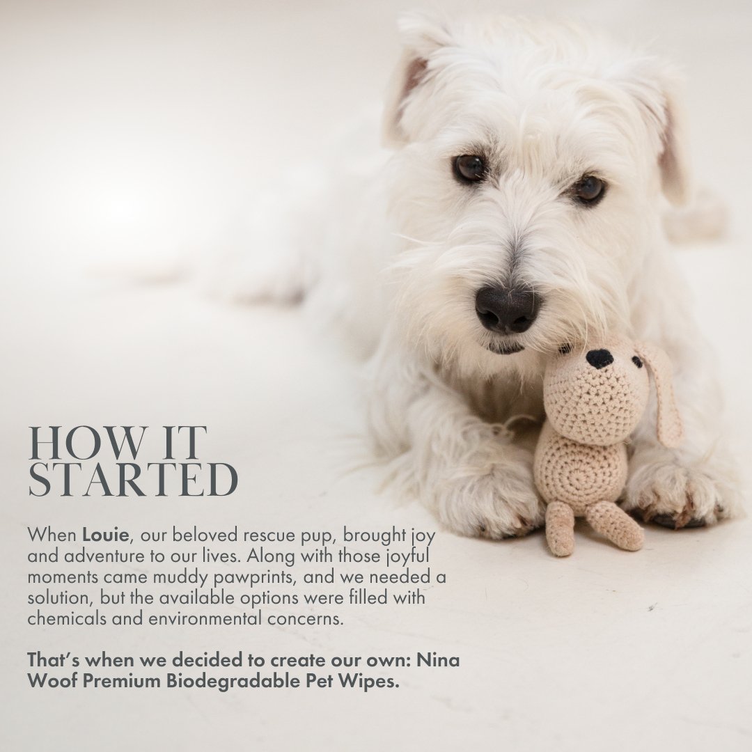 Nina Woof - Premium Wipes - Biodegradable and Plant-Based