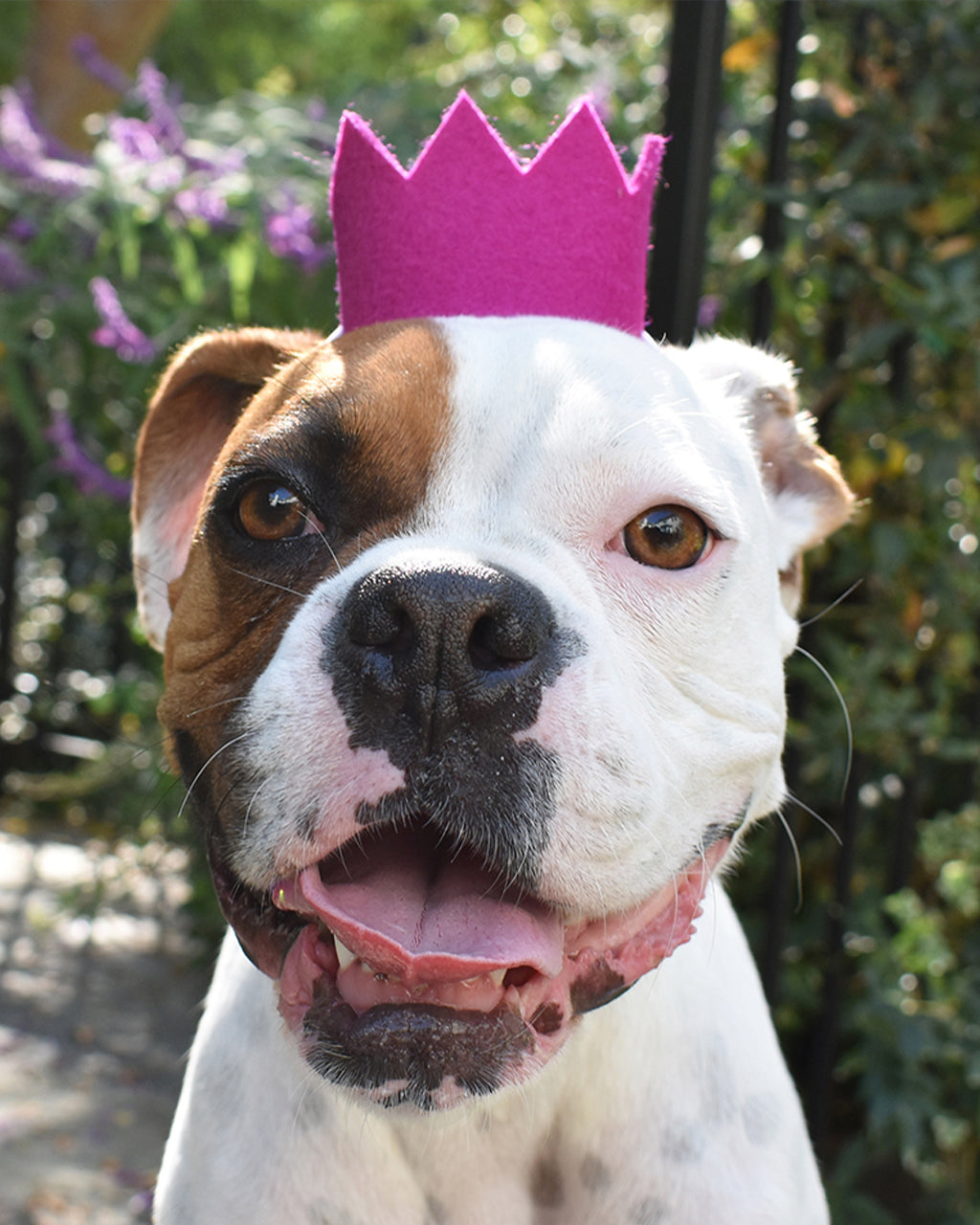 MODERNBEAST Bright Party Crowns