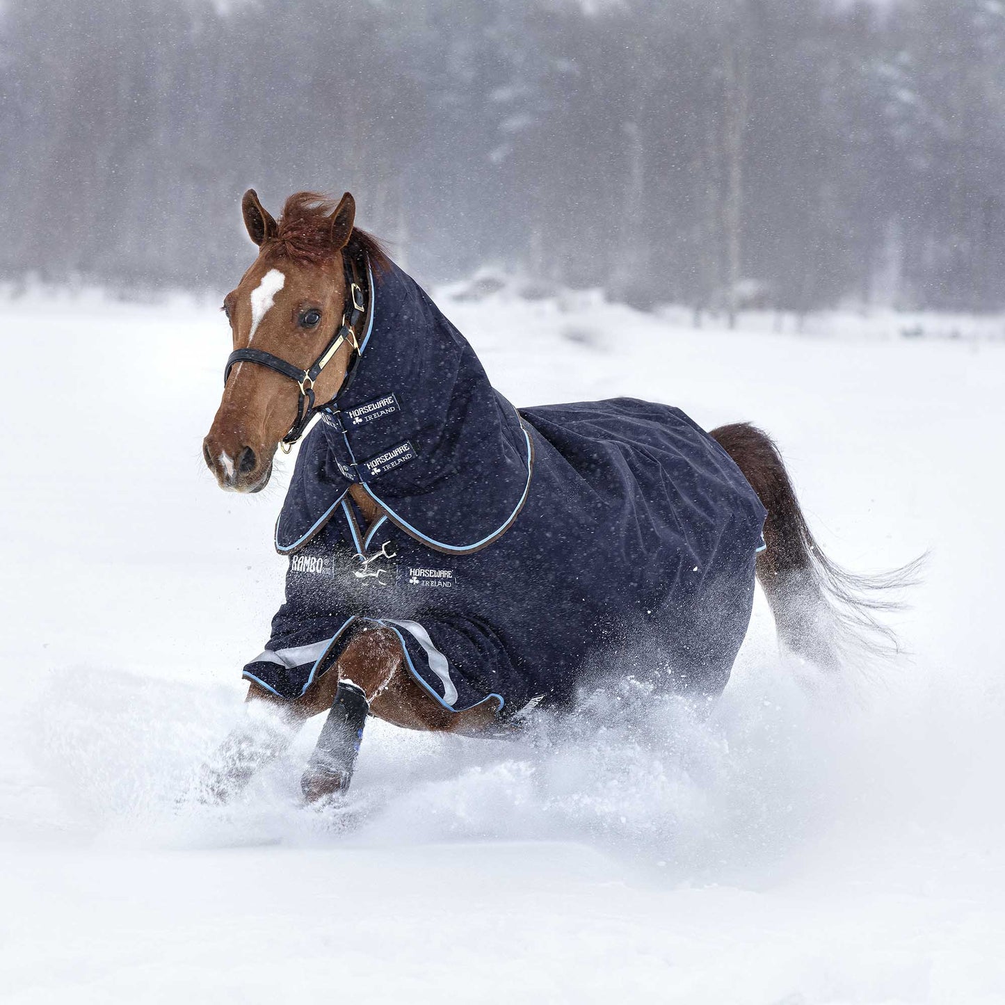 Rambo Duo Horse Turnout Blanket with Bag for Life, 1000D, Removable Liner