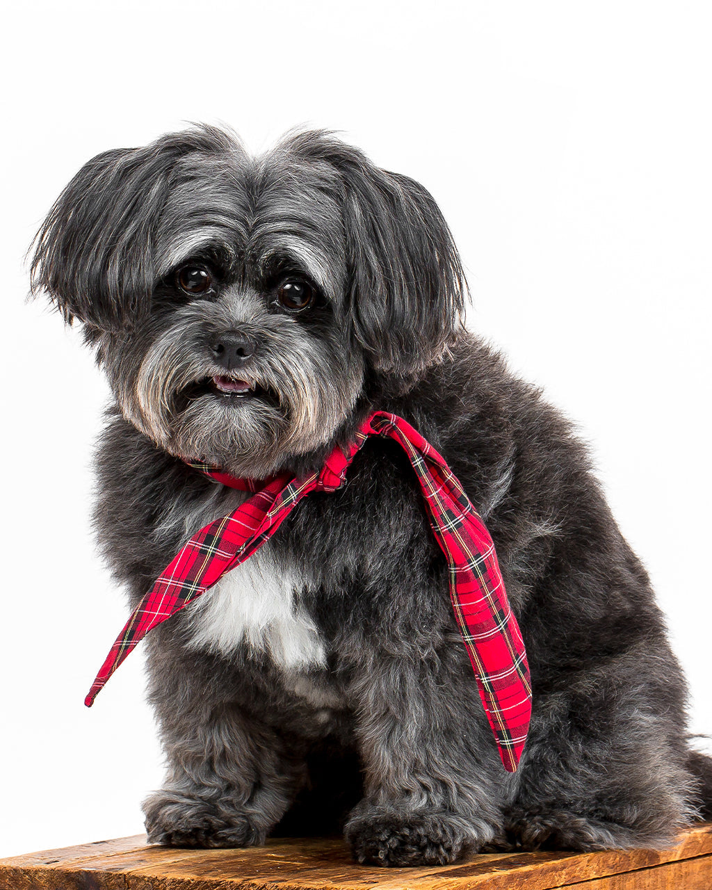 MODERNBEAST Winter Necktie