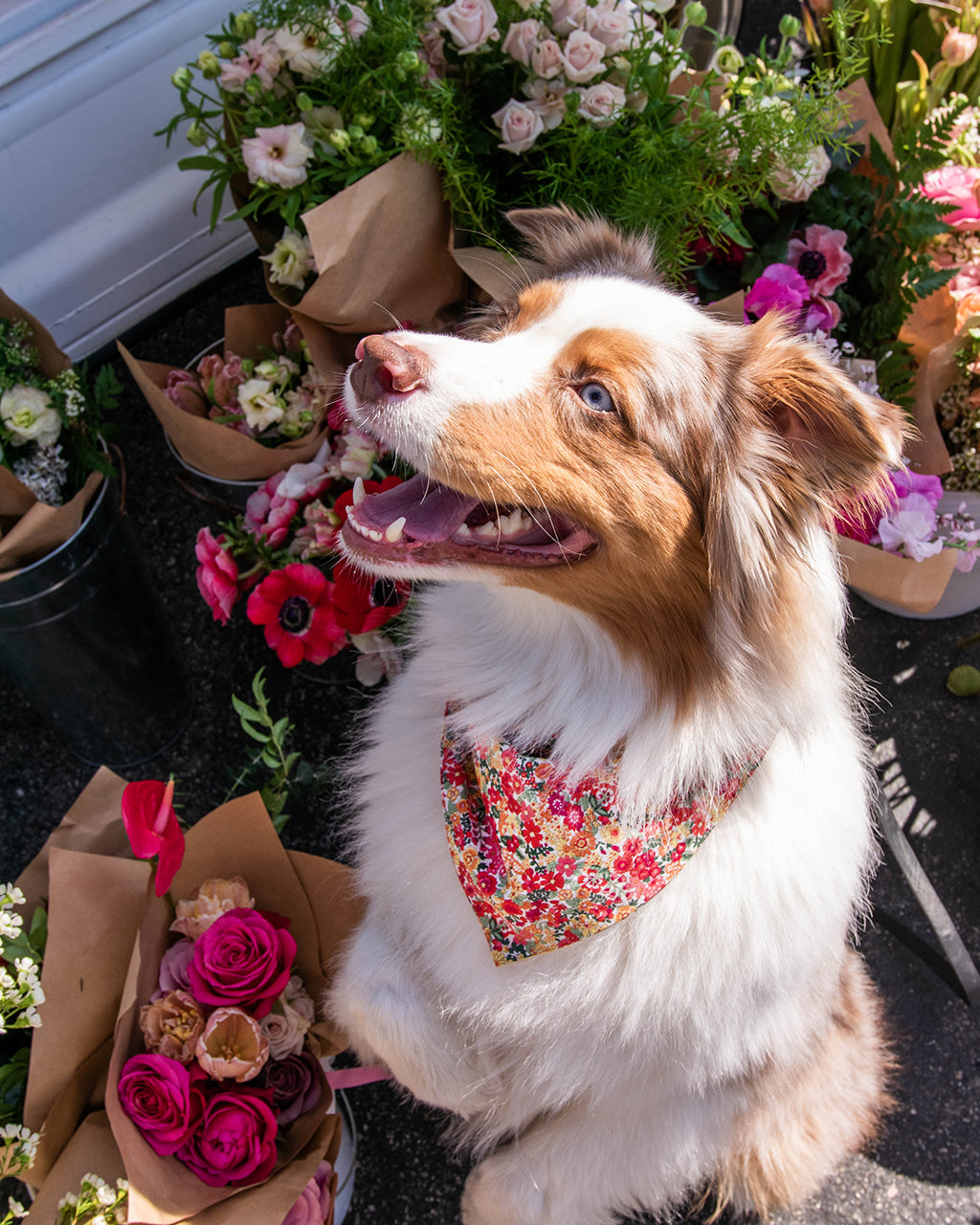 MODERNBEAST Floral Bandana