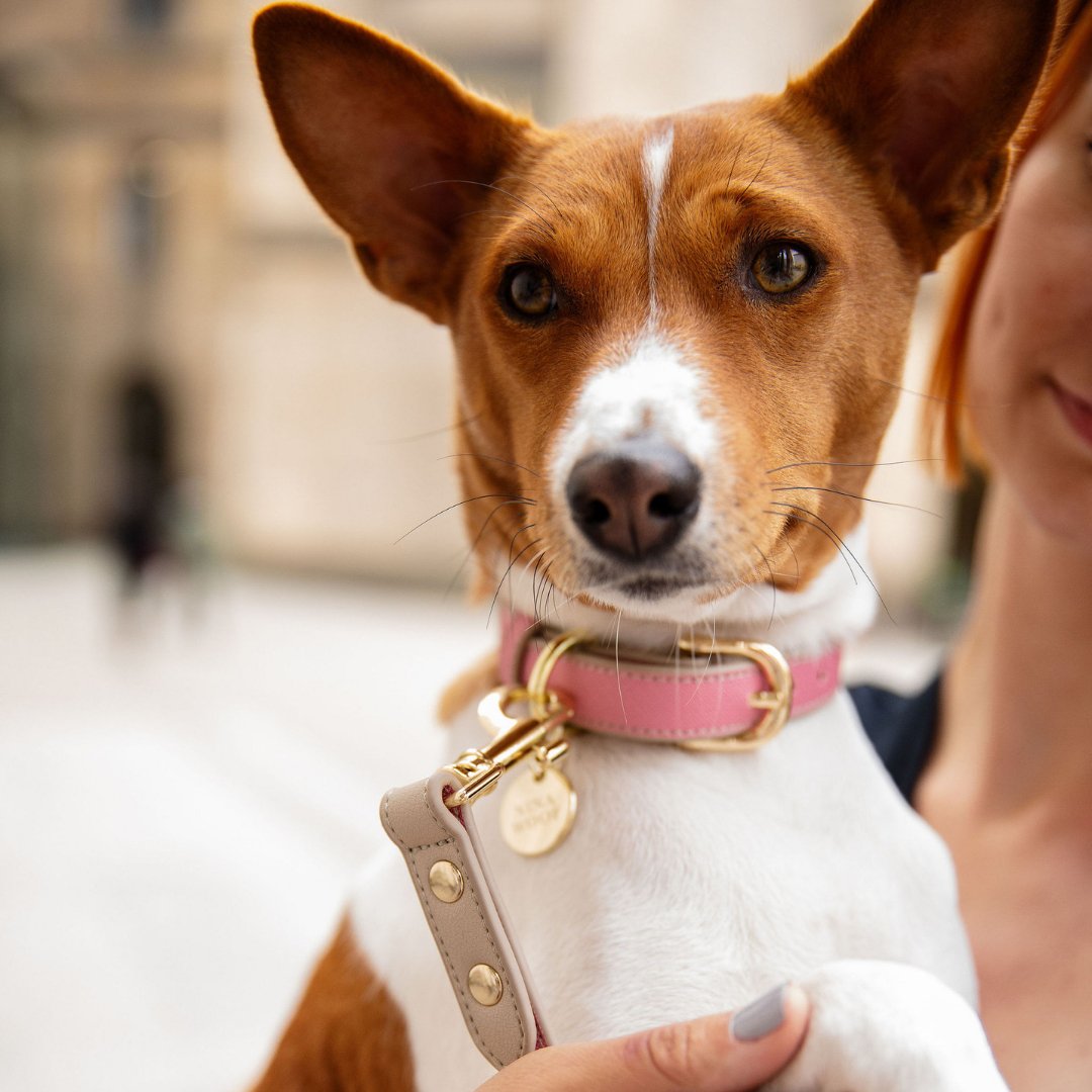 Nina Woof Collar - Vegan Leather - Rio