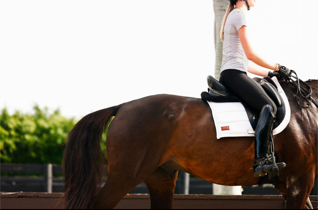 The Proper Fox - Soft White Dressage Pad