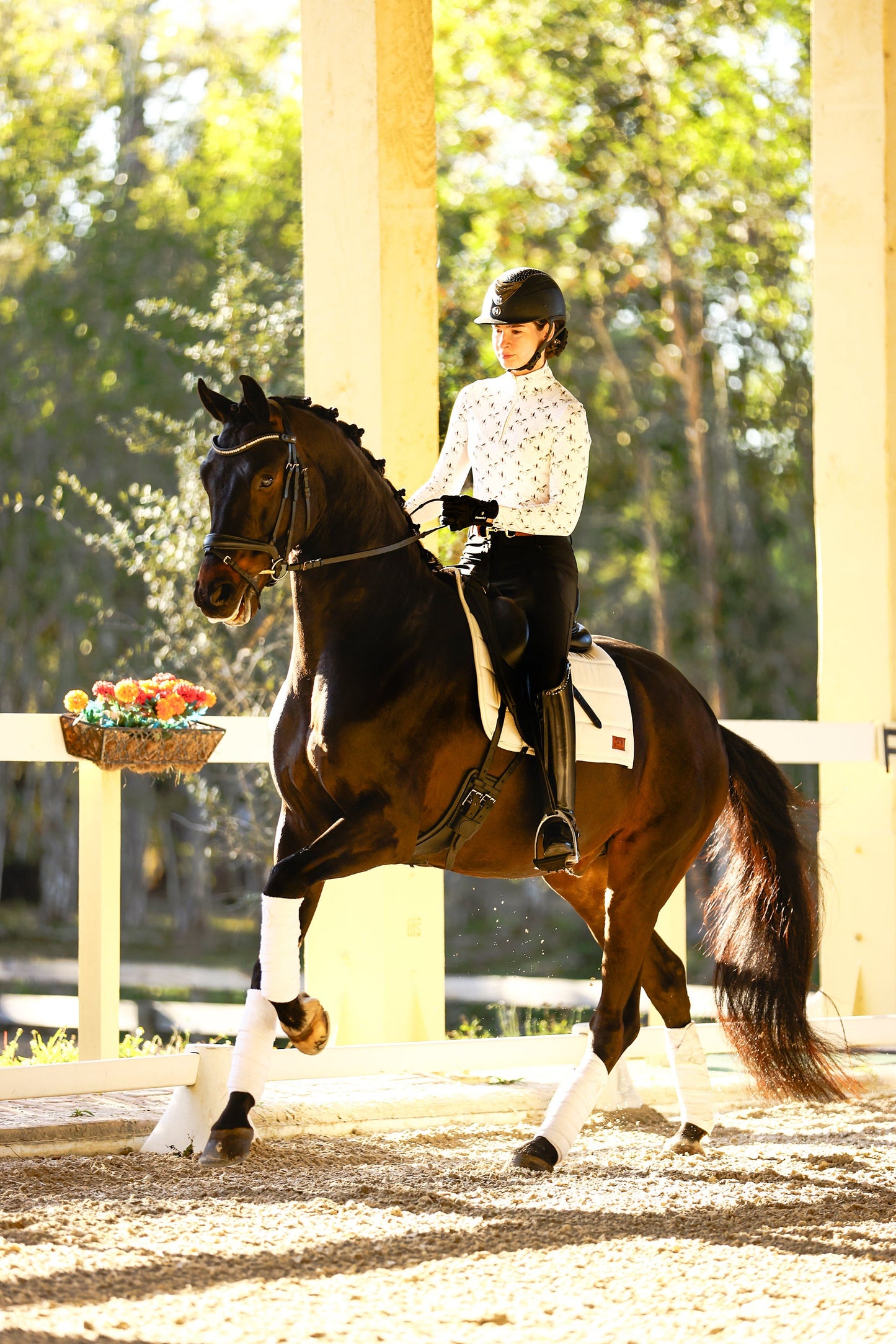 The Proper Fox - Ladies Grey Horse Sun Shirt