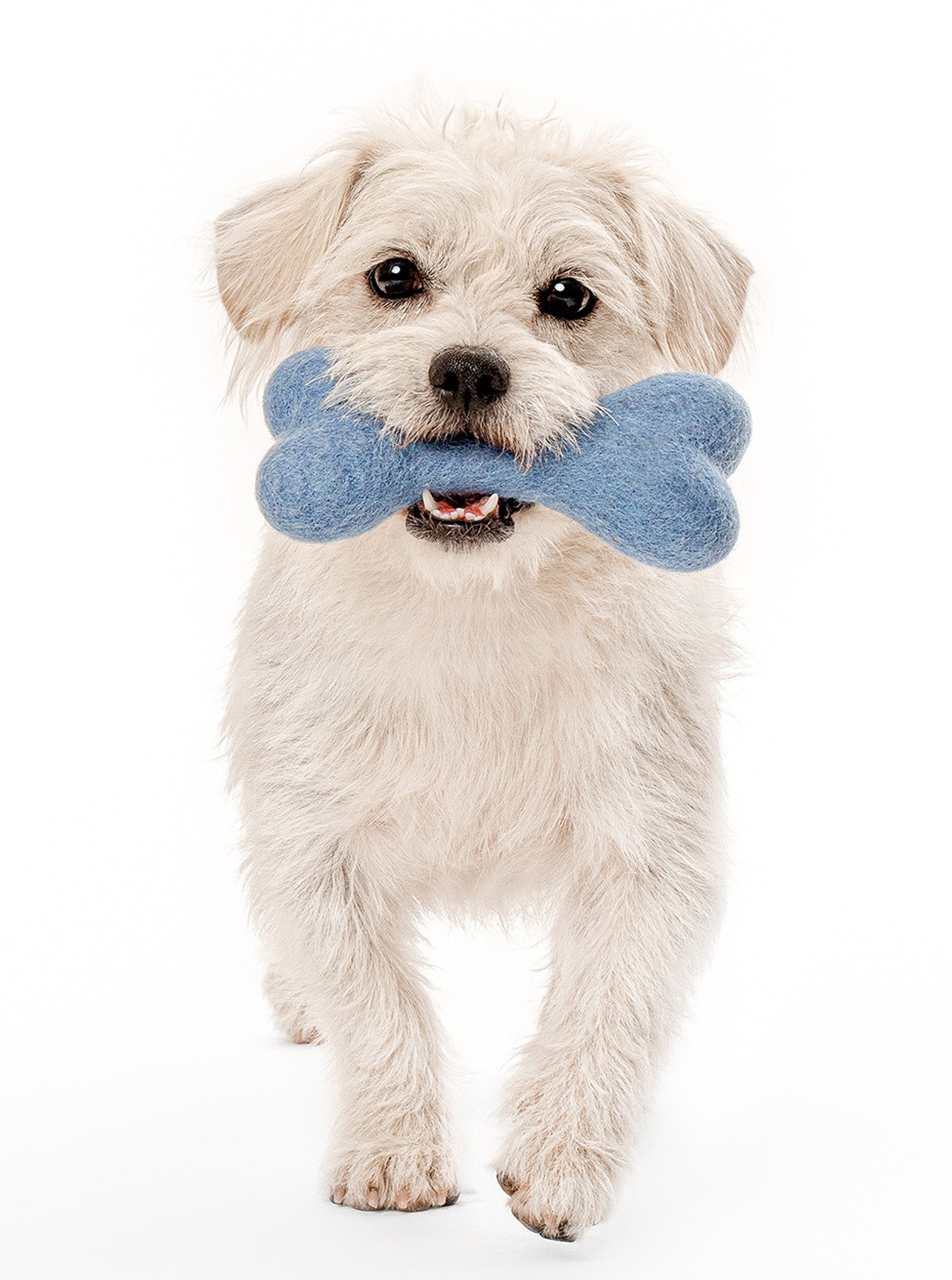 MODERNBEAST MB Woolbone
