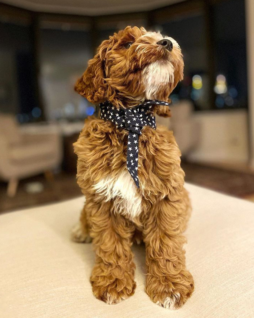 MODERNBEAST Classic Necktie