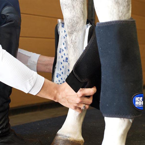 Ice Horse - Tendon Wraps