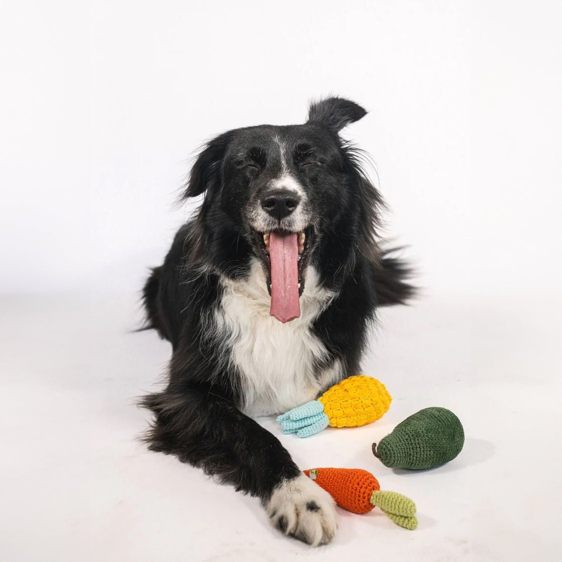 Nina Woof - Organic Veggie Toys Bundle