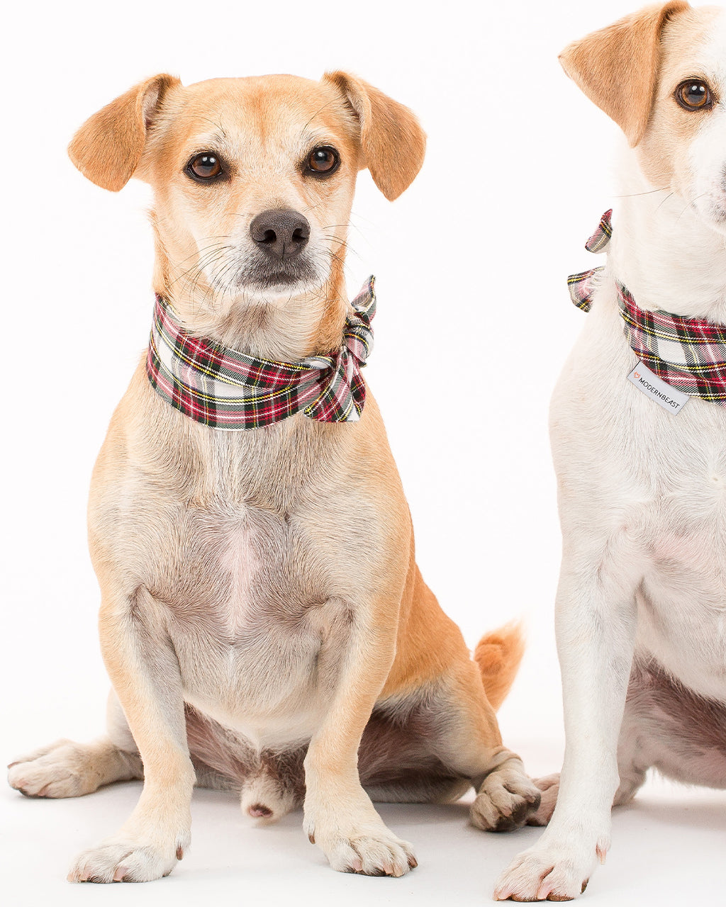 MODERNBEAST Winter Necktie