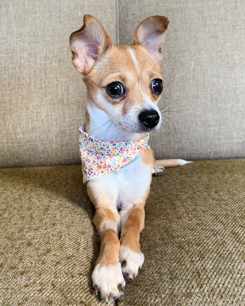 MODERNBEAST Floral Bandana